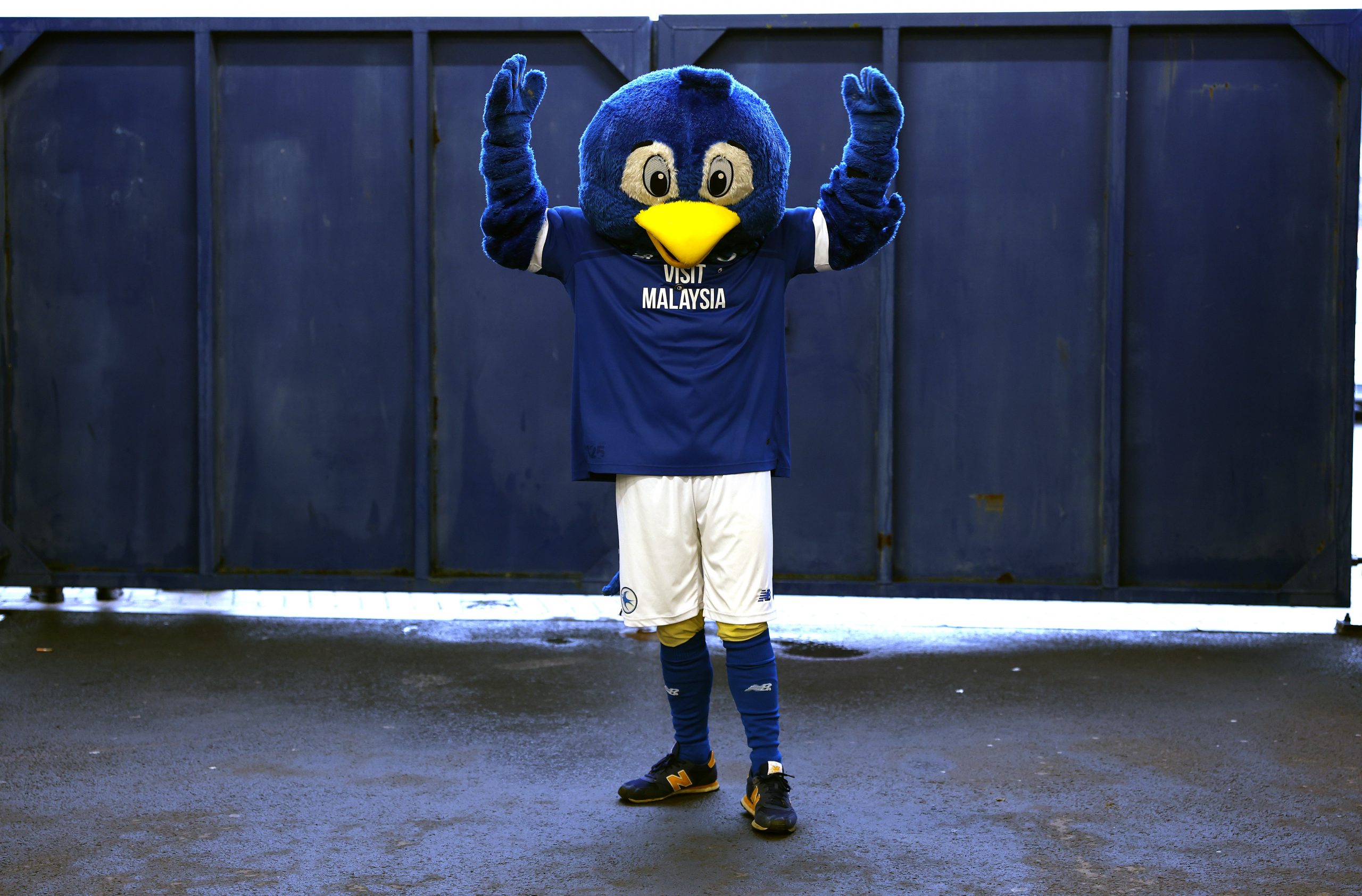 What You Don’t Know About… Cardiff City