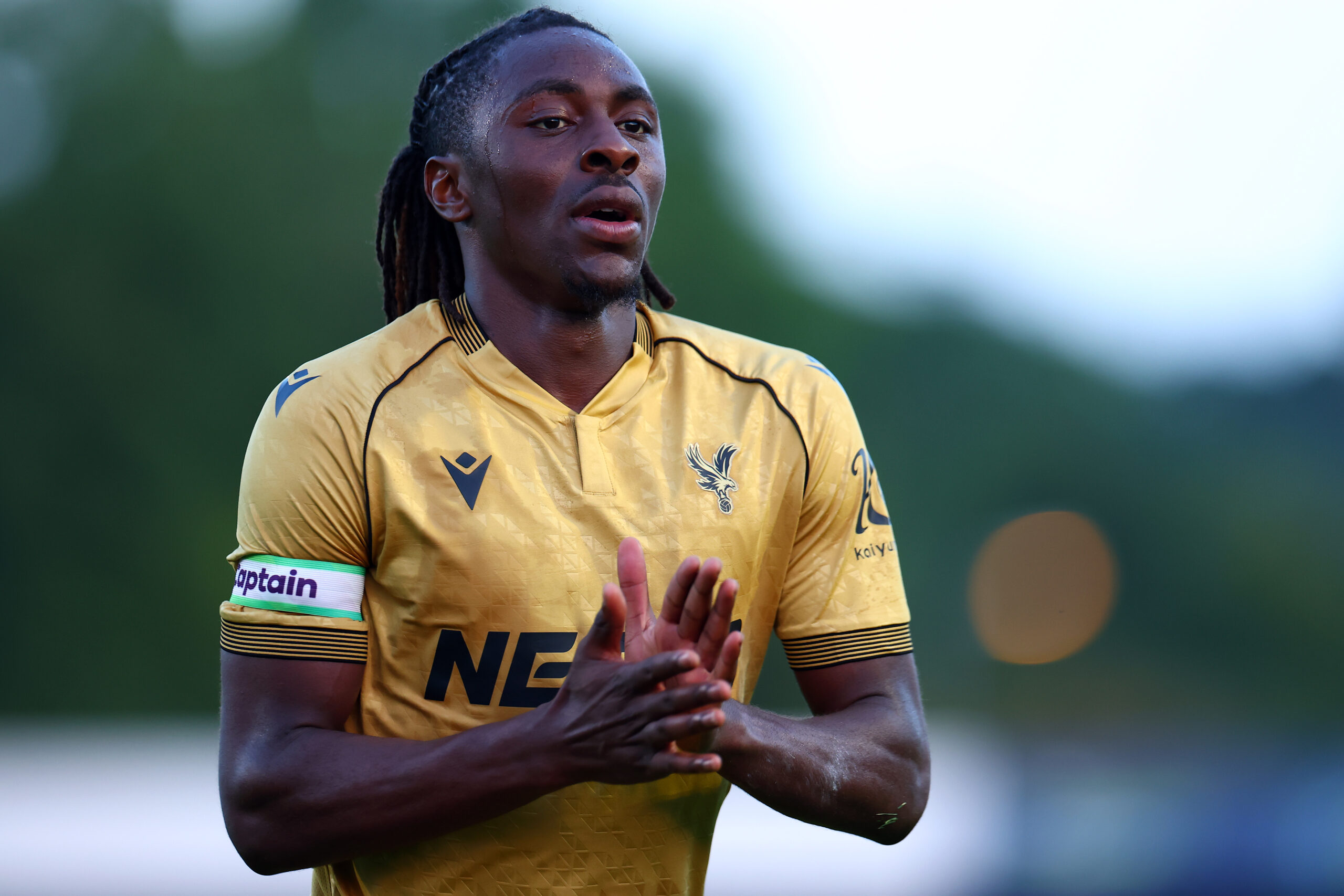 Premier League Preview: Crystal Palace