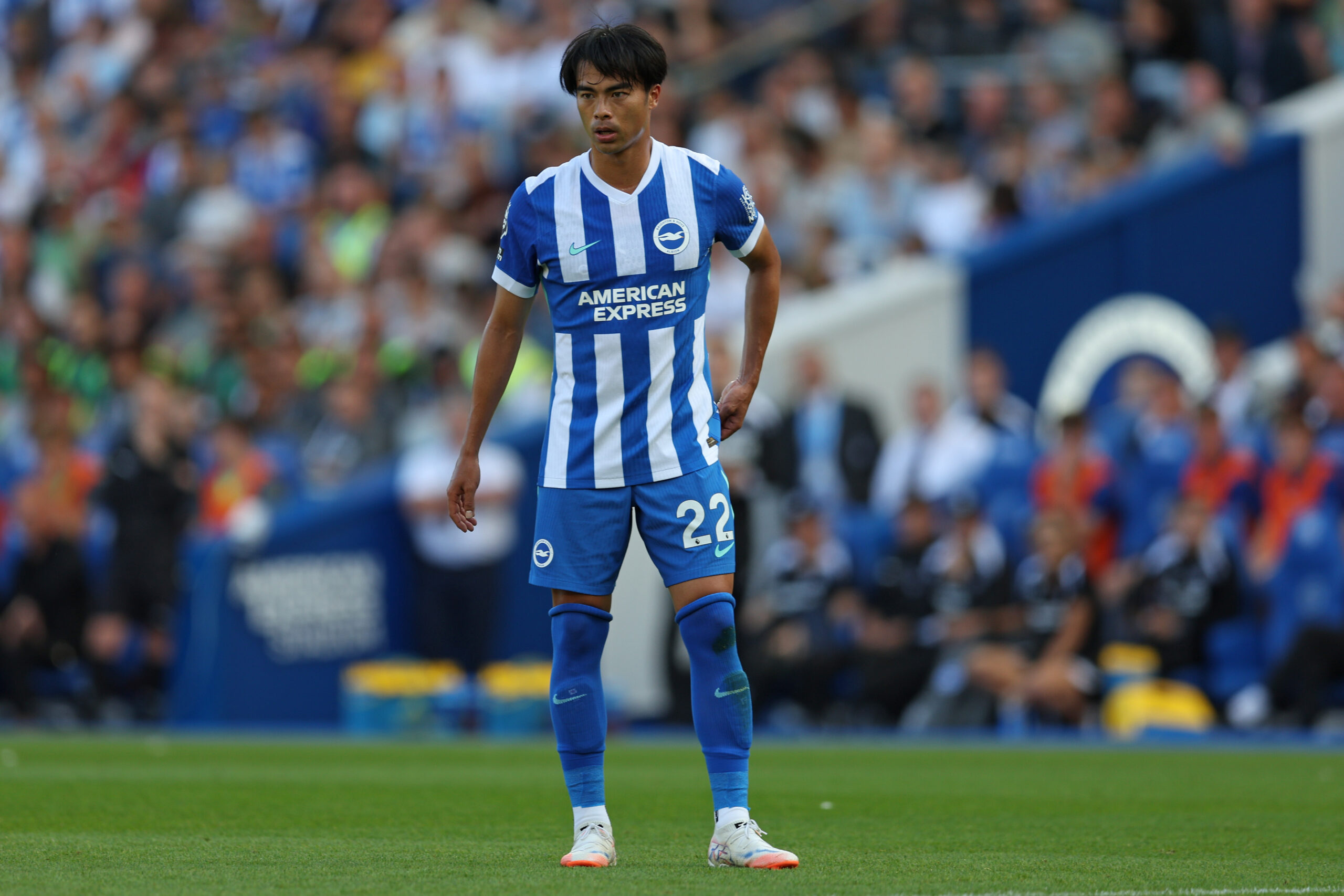 Premier League Preview: Brighton & Hove Albion