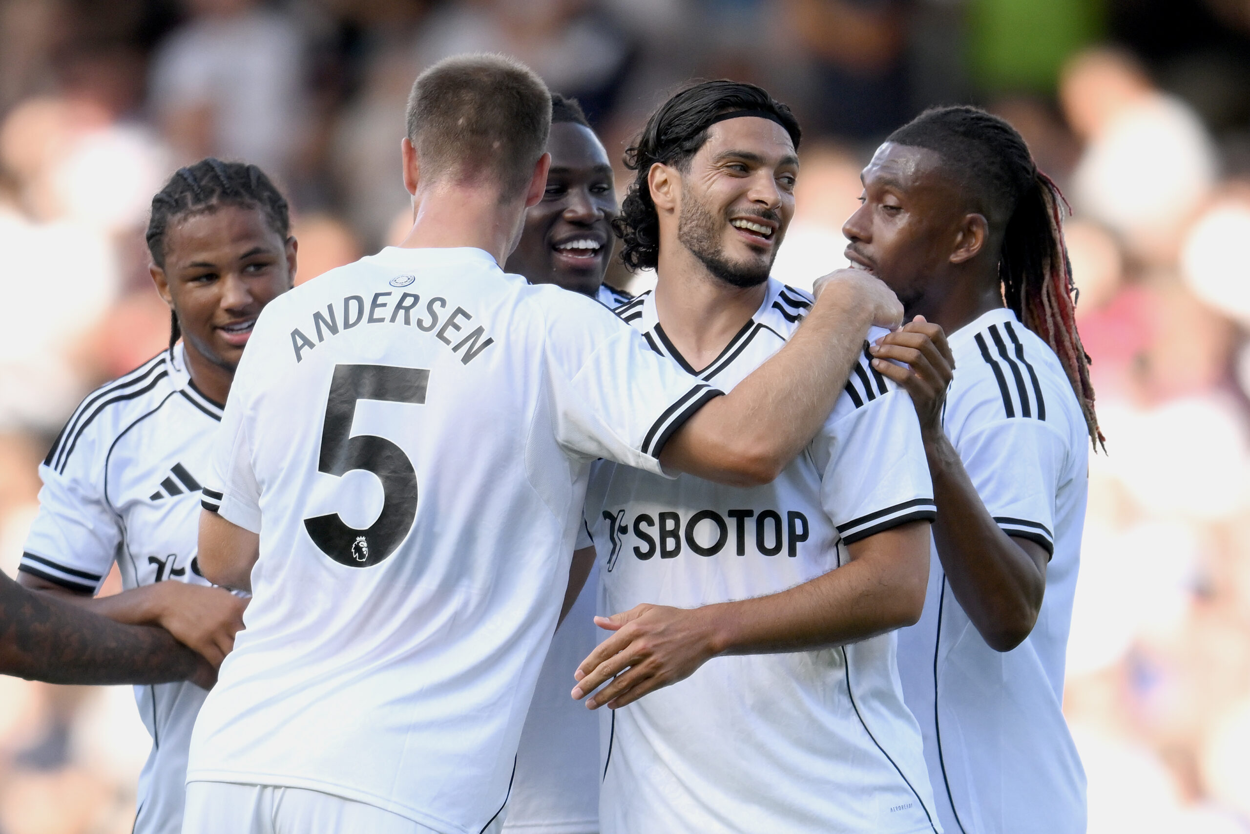 Fulham Premier League Preview
