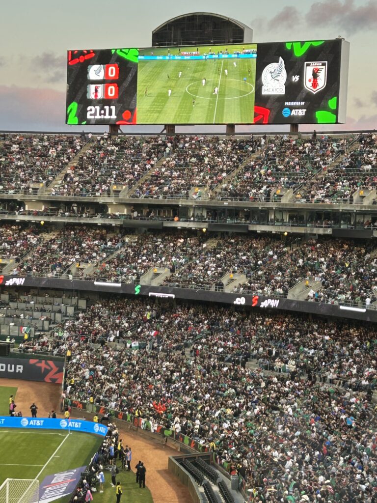 Mexico vs. Japan crowd