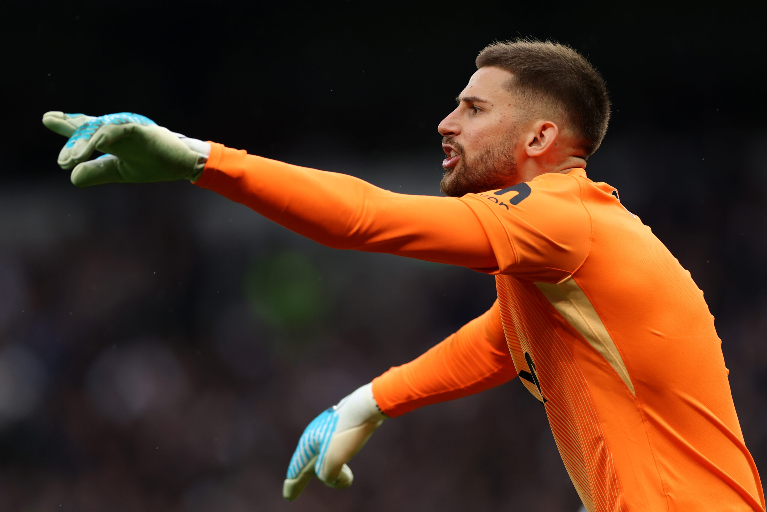 Who Are Tottenham Hotspur?
