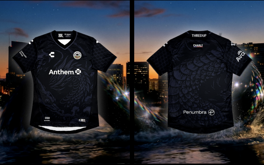 Oakland Roots Home Kit