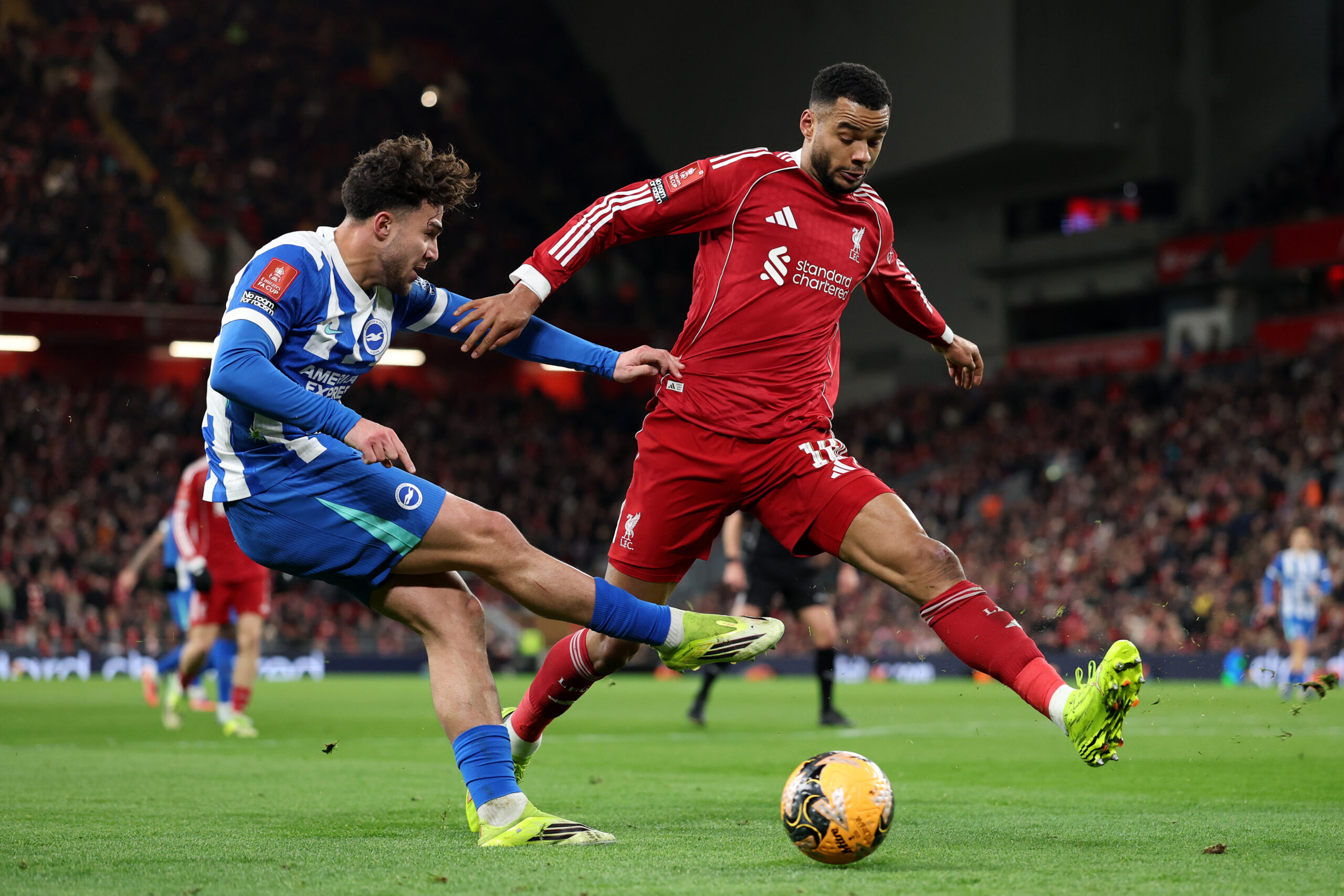 Liverpool Look to Ground Seagulls in Brighton