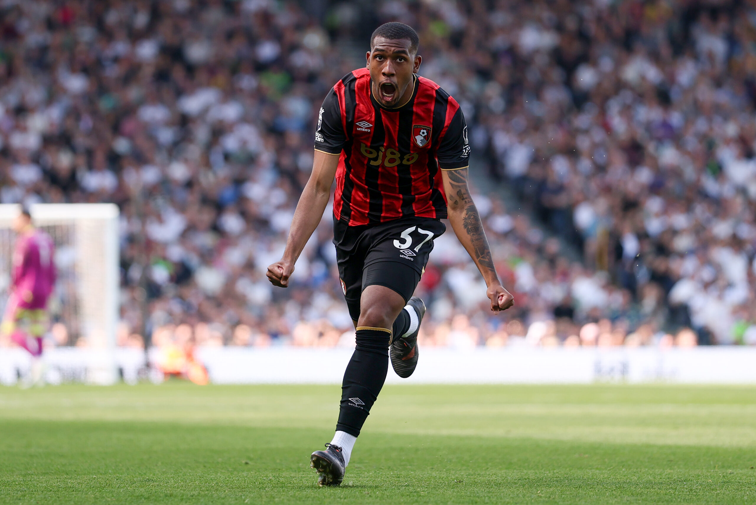 How Bournemouth Players Performed at the World Cup