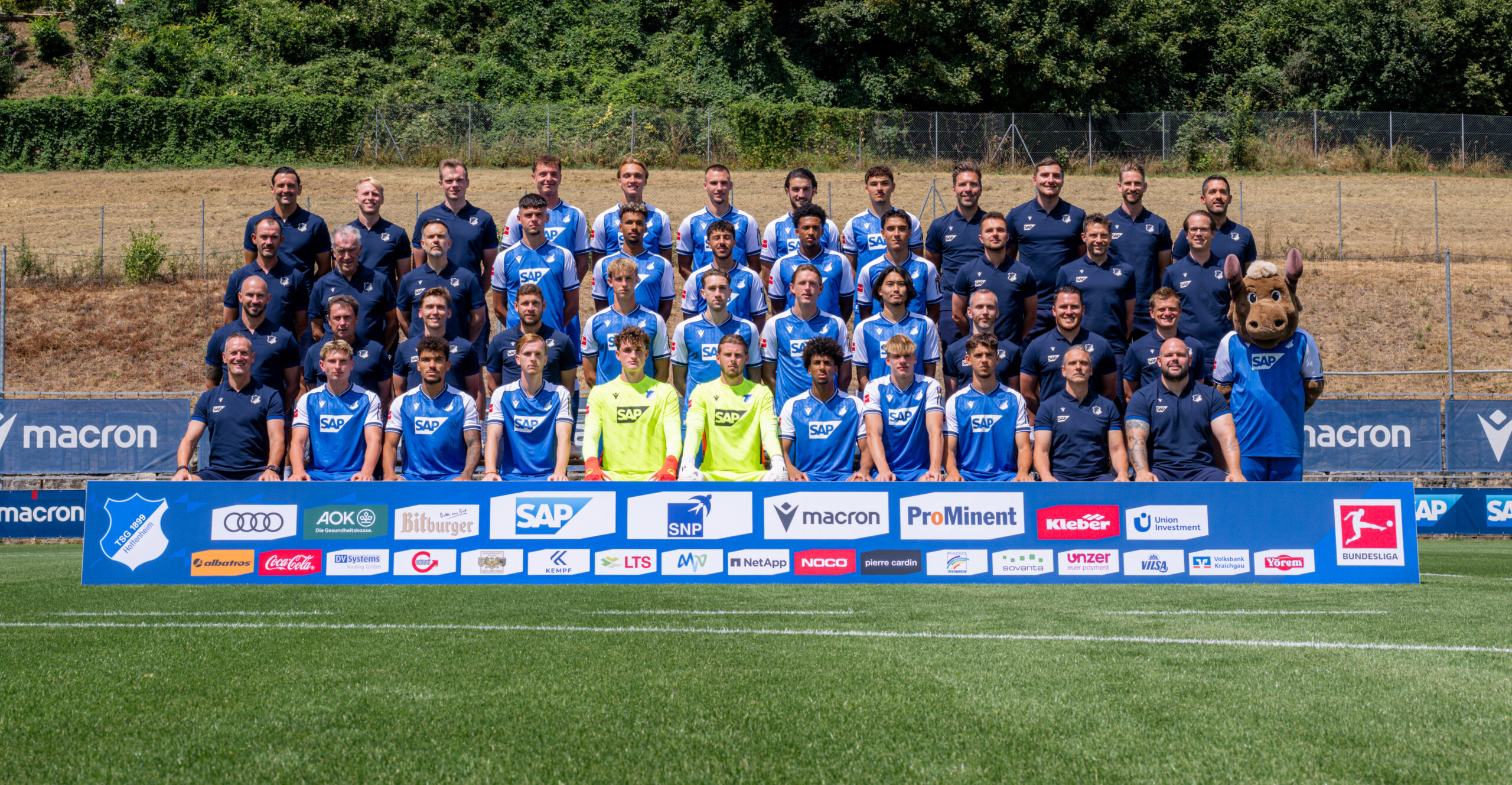 TSG Hoffenheim: Hated Entertainers
